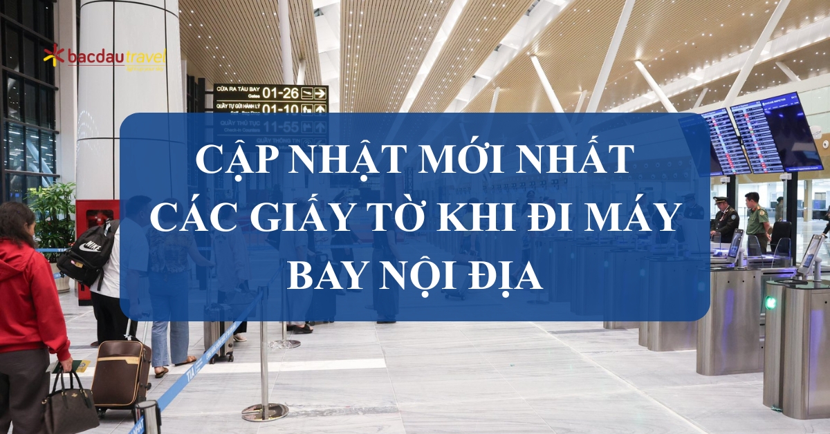 cac-giay-to-khi-di-may-bay-noi-dia