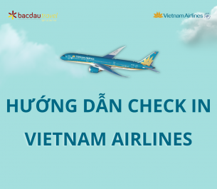 HƯỚNG DẪN LÀM THỦ TỤC, CHECK IN ONLINE VIETNAM AIRLINES